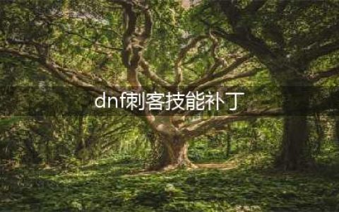 《DNF》2019刺客技能怎么加点 刺客加点技巧一览(dnf刺客技能补丁)