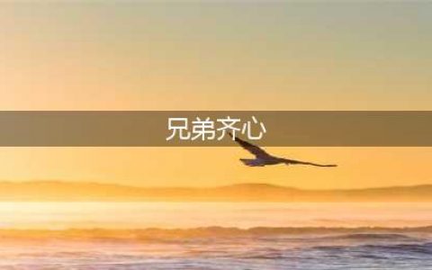 “兄弟同心, 其利断金 ”这句话家喻户晓 后面的一句却少有人知(兄弟齐心)