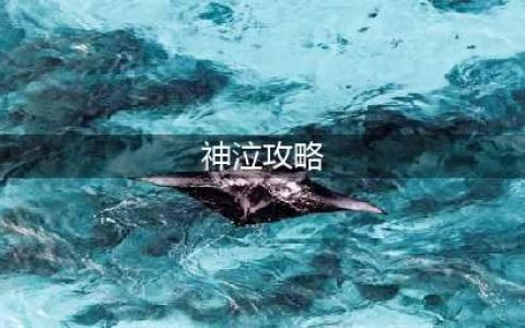 神泣玩职业哪个好玩 神泣职业推荐攻略(神泣攻略)