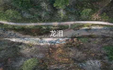 《战神4》龙泪有什么用 龙泪效果及获得方法(龙泪)