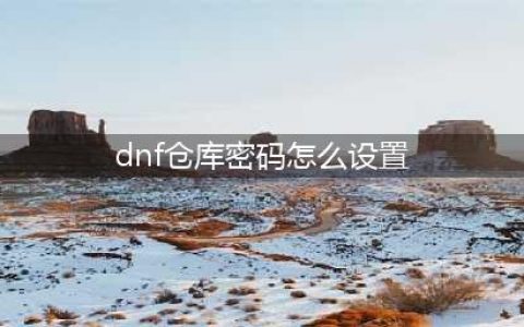 dnf仓库锁怎么设置 dnf仓库锁怎么设置密码
