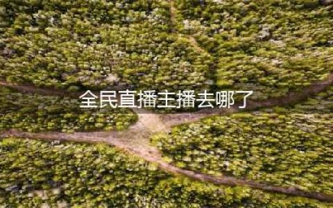 全民直播彻底凉凉，三大顶梁柱之一帝师已决定离开(全民直播主播去哪了)