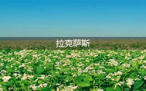 妖精的尾巴激斗拉克萨斯厉害吗 妖精的尾巴激斗拉克萨斯技能详解