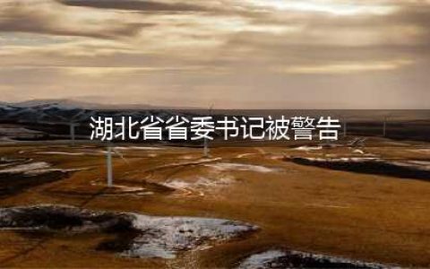 湖北省委主要负责同志职务调整 王蒙徽任湖北省委书记(湖北省省委书记被警告)