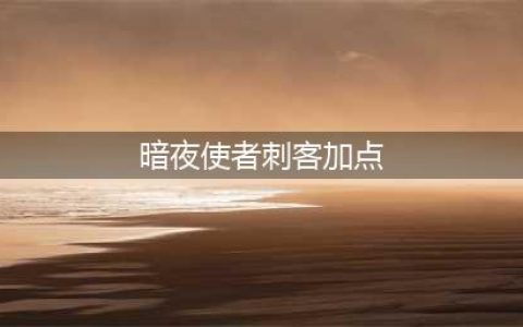《DNF》刺客怎么加点 刺客加点分享(暗夜使者刺客加点)