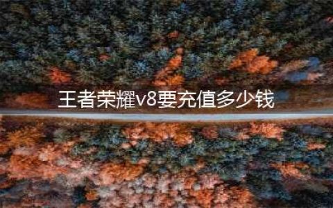 王者荣耀V8要充多少钱(王者荣耀v8要充值多少钱)