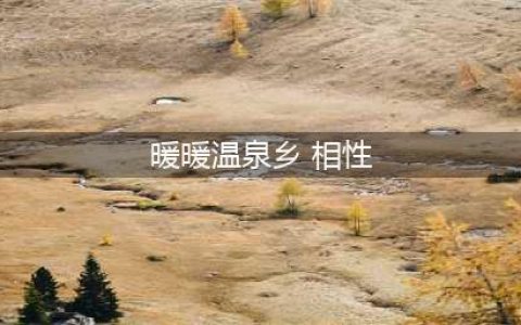 经营小温泉旅店《暖暖温泉乡》汉化版评测(暖暖温泉乡 相性)