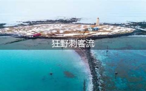 《云顶之弈》狂野刺客阵容怎么搭配 狂野刺客阵容搭配推荐