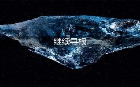 继续寻根 继续寻根任务怎么做