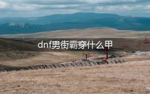 《DNF》100级男街霸装备如何选择 男街霸装备选择方法(dnf男街霸穿什么甲)