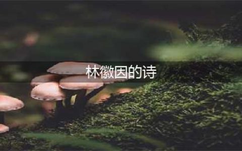 林徽因最经典的八首诗歌(林徽因的诗)