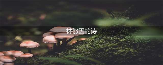 林徽因最经典的八首诗歌(林徽因的诗)