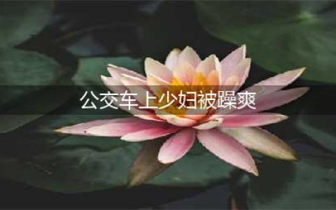 少妇在公交车上遭遇强奸的往事(公交车上少妇被躁爽)