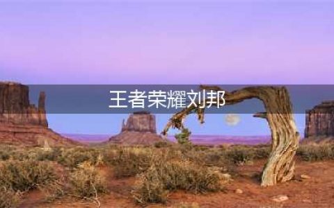 王者荣耀刘邦深度解析 全图支援最稳上单(王者荣耀刘邦)
