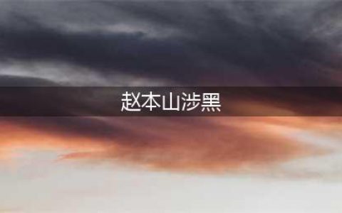 网曝赵本山鲜为人知黑道背景(赵本山涉黑)