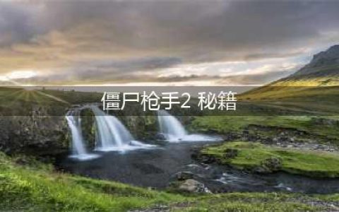 僵尸枪手2秘籍怎么用 秘籍大全最新