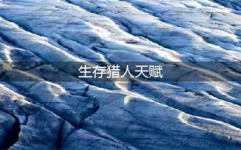 魔兽世界wlk生存猎人天赋怎么点