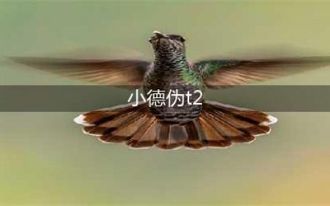 《魔兽世界怀旧服》德鲁伊T2套装怎么获得 德鲁伊T2套装获取攻略(小德伪t2)