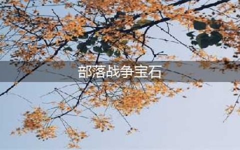 《部落冲突》怎么刷宝石 刷宝石攻略教程(部落战争宝石)