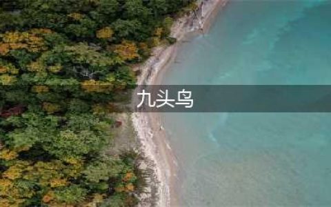 湖北人为什么被叫做「九头鸟」？(九头鸟)