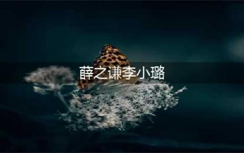 李小璐“做头发”前最后一部剧，薛之谦自爆合作相当艰难，每天只睡三小时！(薛之谦李小璐)