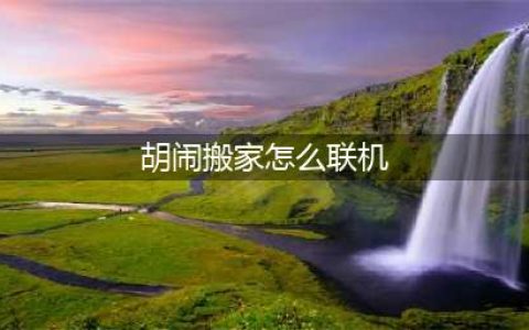 《胡闹搬家》联机方法 如何联机