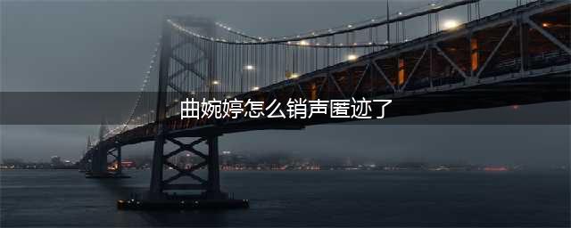 曲婉婷为什么销声匿迹了，源自于她的“英雄母亲”(曲婉婷怎么销声匿迹了)