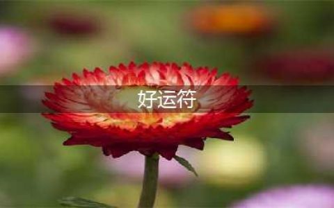 《魔兽世界》好运符有哪些 历年版本好运符盘点一览(好运符)