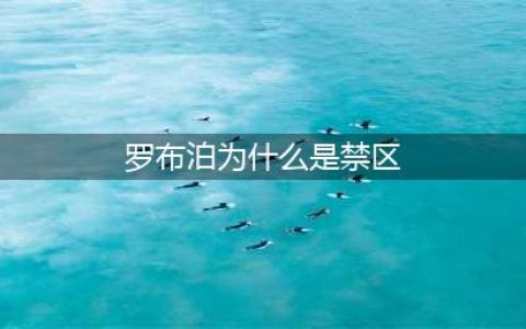 罗布泊的邪门事件，它到底有何秘密？如何演变为生命禁区的(罗布泊为什么是禁区)