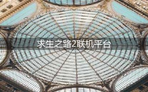 求生之路2怎么联机局域网对战 求生之路2联机方法分享(求生之路2联机平台)