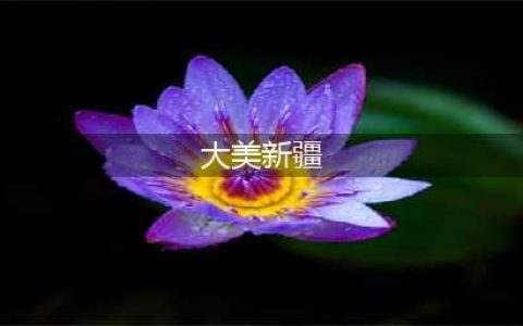 大美新疆欢迎您(大美新疆)