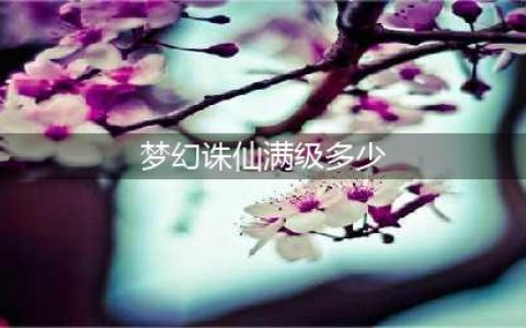 《梦幻新诛仙》满级等级介绍 最高等级是多少