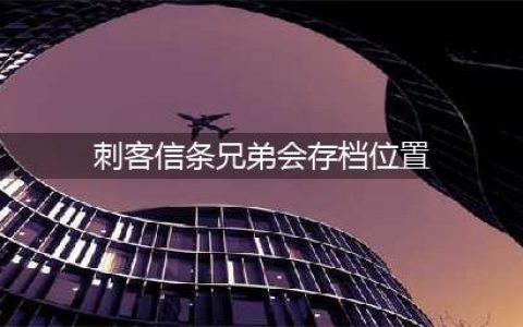 刺客信条兄弟会存档在哪(刺客信条兄弟会存档位置)