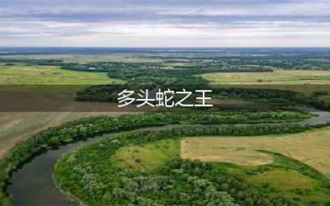 多头蛇之王在哪里(多头蛇之王)