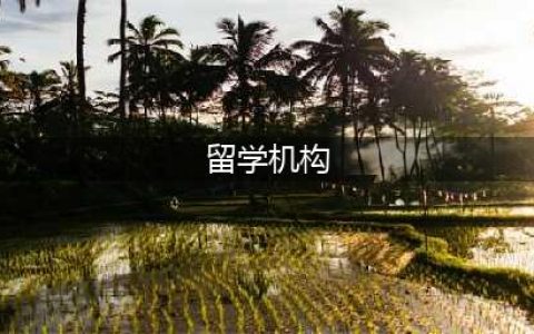 全国十大留学机构，哪家是口碑最好的？(留学机构)