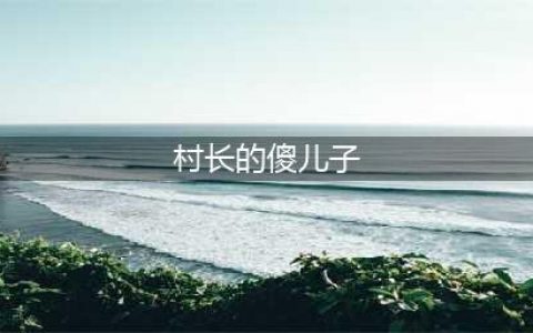 爆笑故事：村长的傻儿子财大气粗，可这并不能打败我机智的小脑瓜(村长的傻儿子)