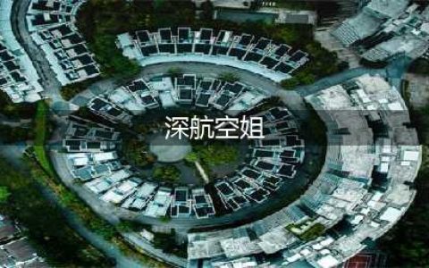 深航年度12位最佳空姐(深航空姐)