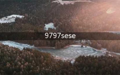 揭秘“66se”淫秽色情网站群的犯罪团伙【正文】(9797sese)