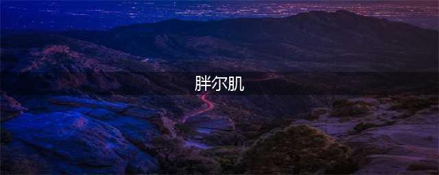 十大增肥产品 全球公认(胖尔肌)