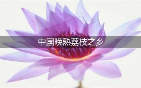 合江荔枝节开幕 “中国晚熟荔枝之乡”今年荔枝产业收入预计达15亿元(中国晚熟荔枝之乡)