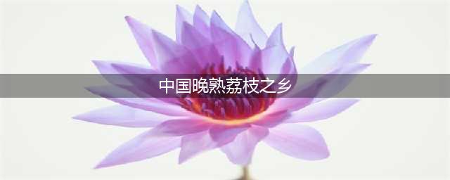 合江荔枝节开幕 “中国晚熟荔枝之乡”今年荔枝产业收入预计达15亿元(中国晚熟荔枝之乡)