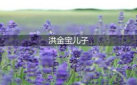 66岁洪金宝三个儿子近照曝光，个个帅气有为，长相几乎一模一样(洪金宝儿子)
