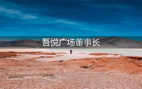 新城控股董事长：吾悦广场华中区域已经实现从1到17的蜕变(吾悦广场董事长)