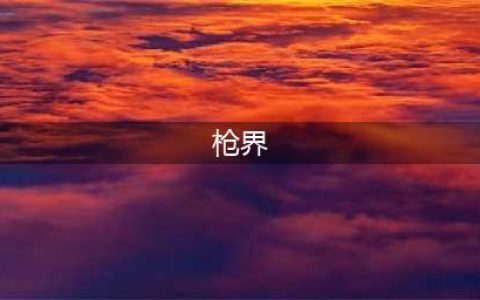 吃鸡还看多倍镜 《枪界》狙击武器介绍(枪界)