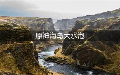 《原神》海岛大水泡进去方法 海岛大水泡如何进去