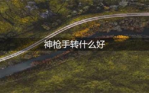 《DNF手游》神枪手转什么职业好 神枪手转职方向推荐(神枪手转什么好)