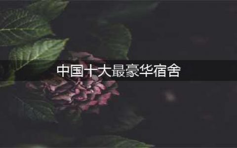 中国「最豪华」大学宿舍Top10，你的学校上榜了吗？(中国十大最豪华宿舍)