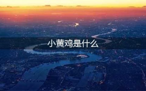 《和平精英》小黄鸡在什么地方 小黄鸡位置介绍