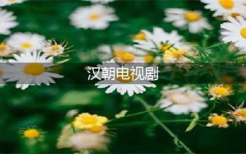 9部以汉朝为背景的电视剧，星汉灿烂评分只能排第五(汉朝电视剧)