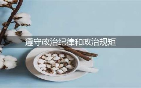 严明党的政治纪律和政治规矩(遵守政治纪律和政治规矩)